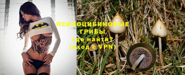 ECSTASY Киреевск
