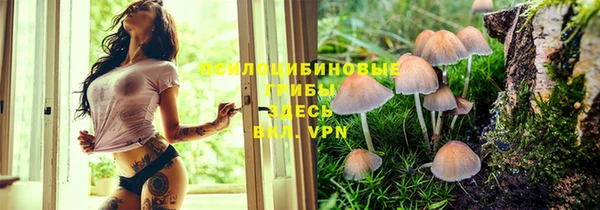 spice Карпинск