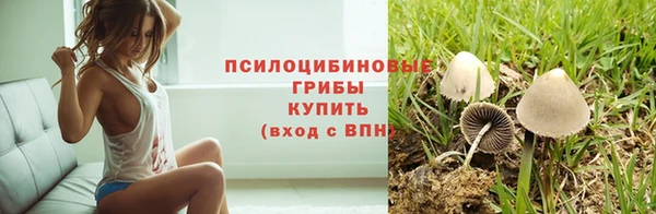 MDMA Premium VHQ Карталы
