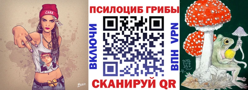 купить Михайловка Галлюциногенные грибы мухоморы