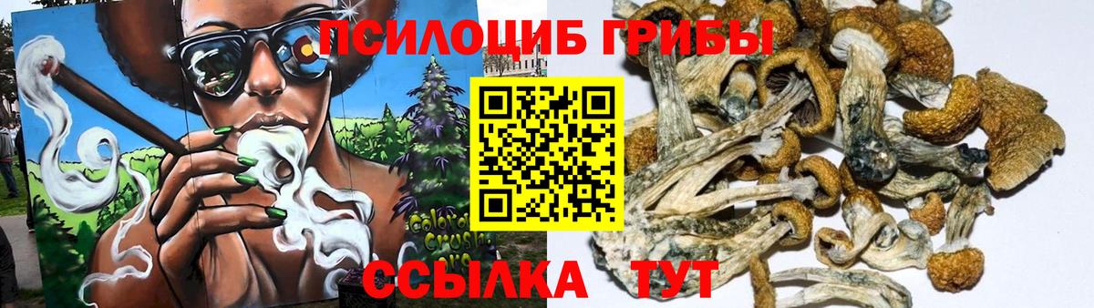 Михайловка  Галлюциногенные грибы ЛСД  Вход с VPN 