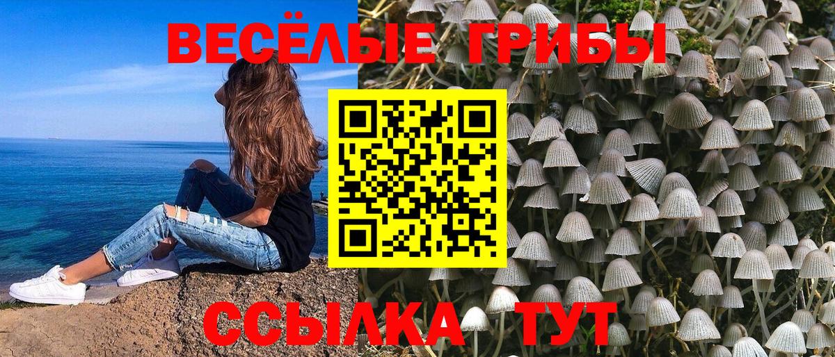 Псилоцибиновые грибы прущие грибы Михайловка